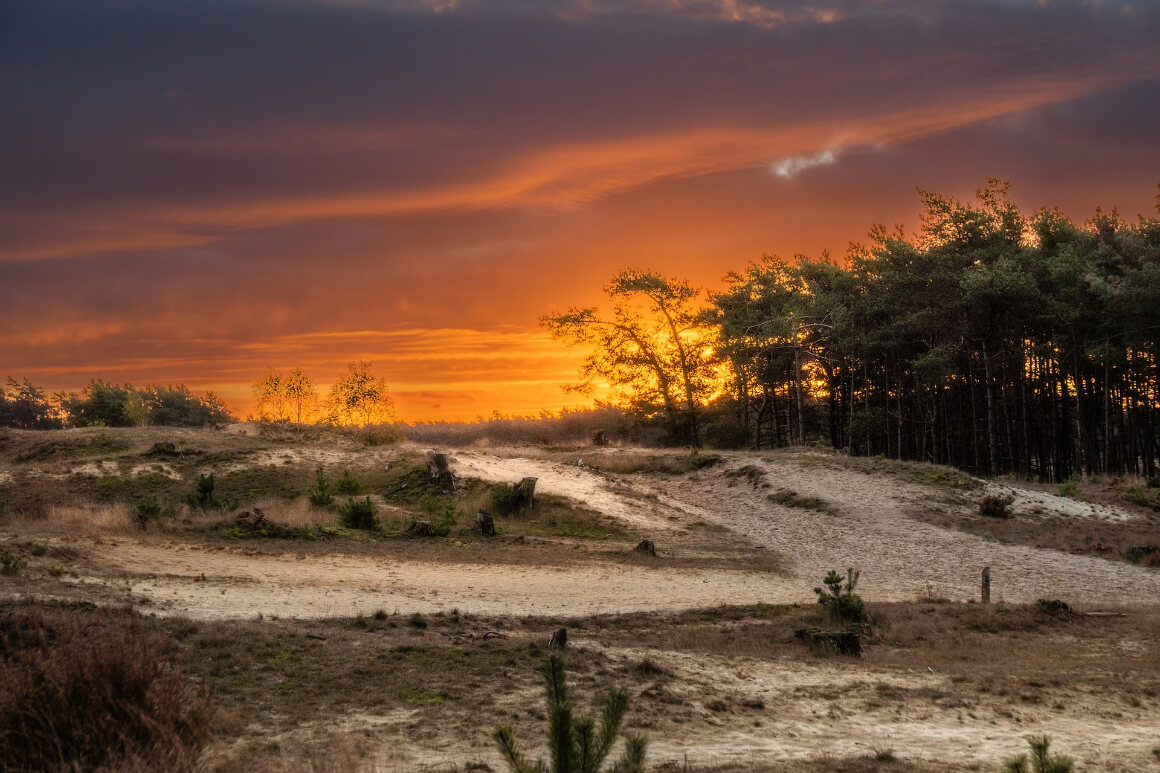 Hoge Veluwe National Park