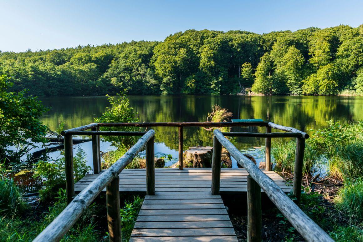 Jasmund National Park