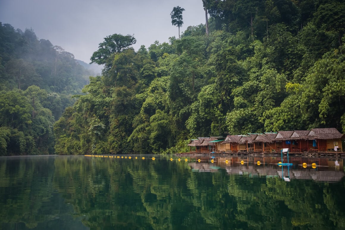 A series of huts on stilts lining at the river in Khao Sok National Park with a lush forest 