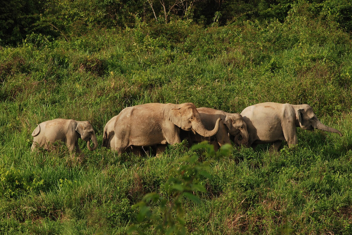 Kui Buri National Park