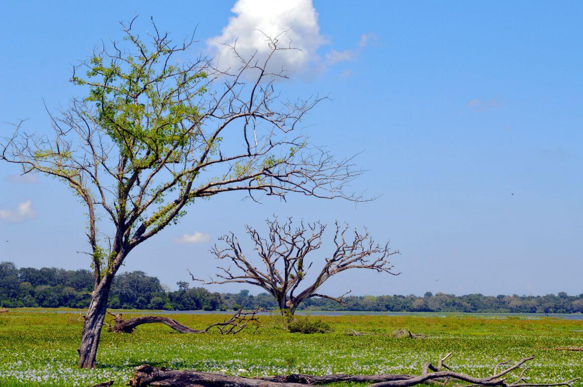 Lahugala Kitulana Park