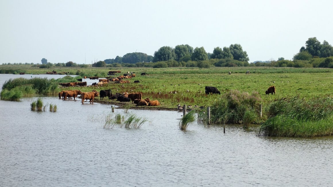 Lauwersmeer National Park