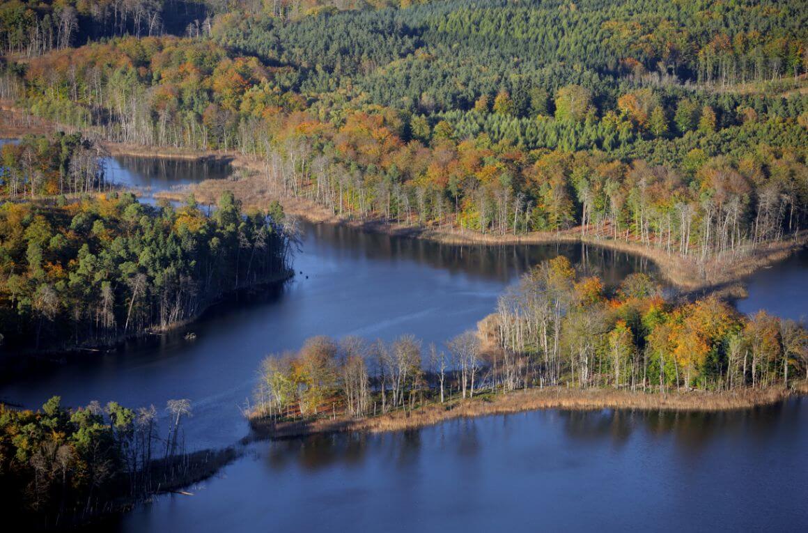 Müritz National Park