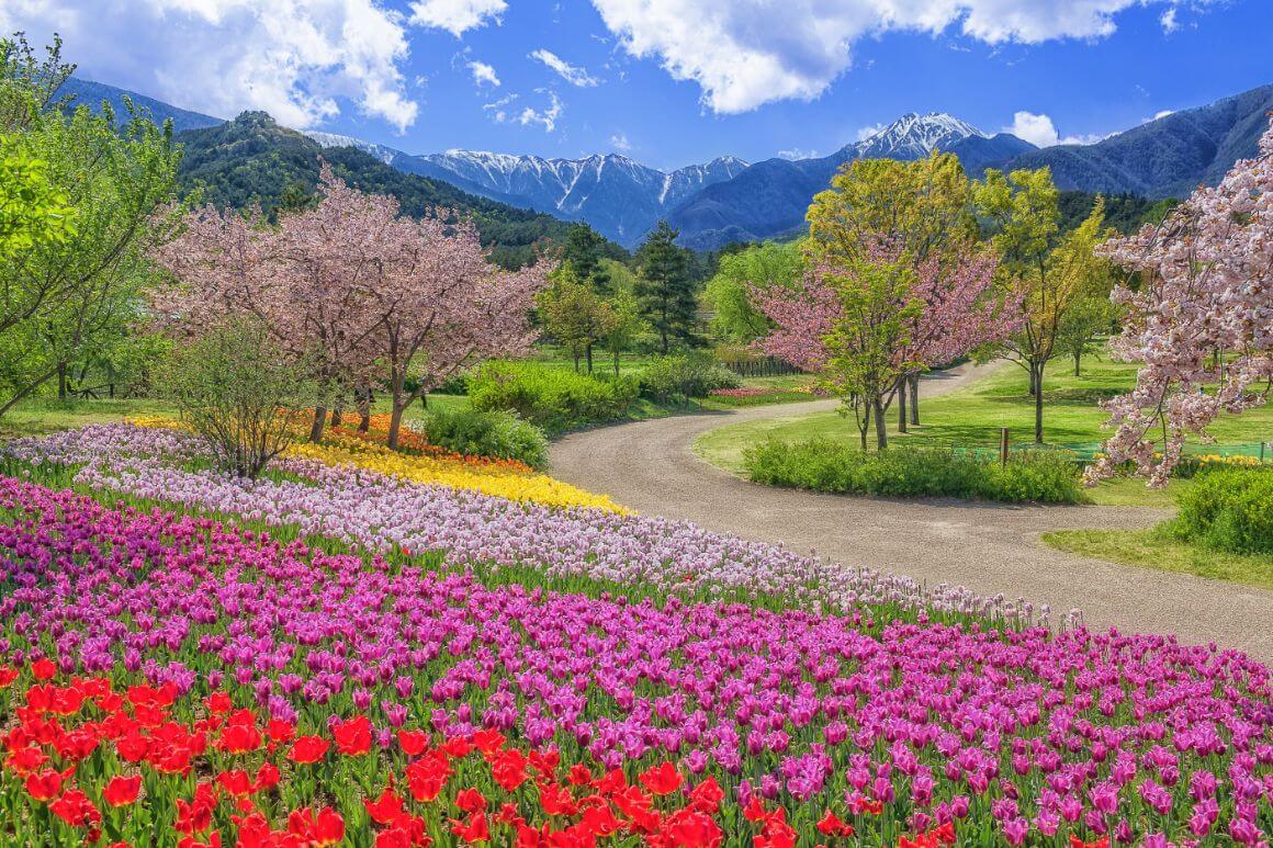 National Alps Azumino Park