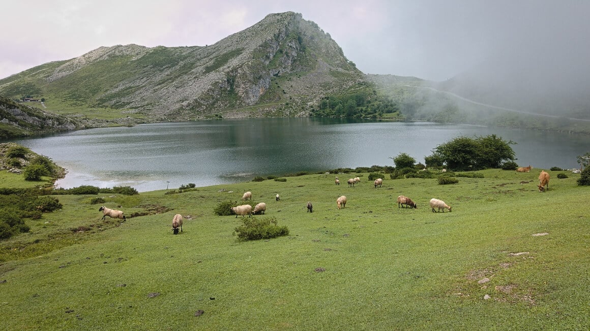 Picos de Europa