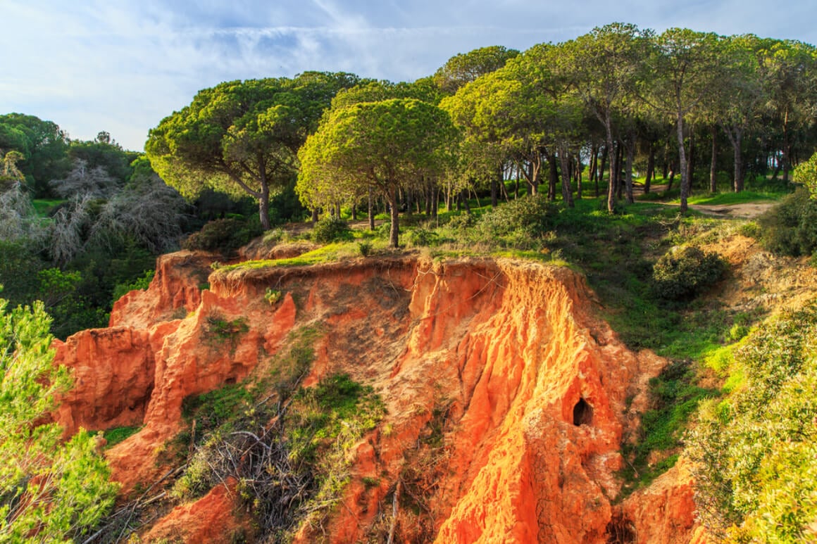 Ria Formosa Natural Park