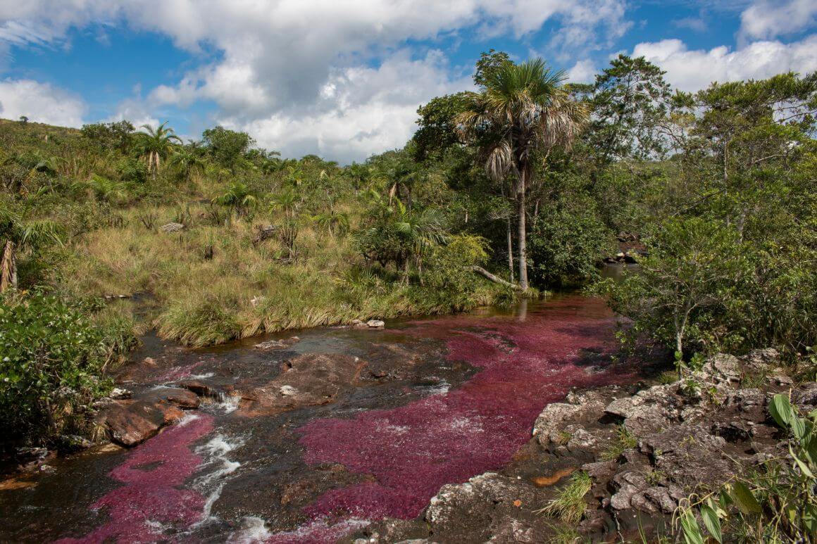 Serranía de La Macarena Park