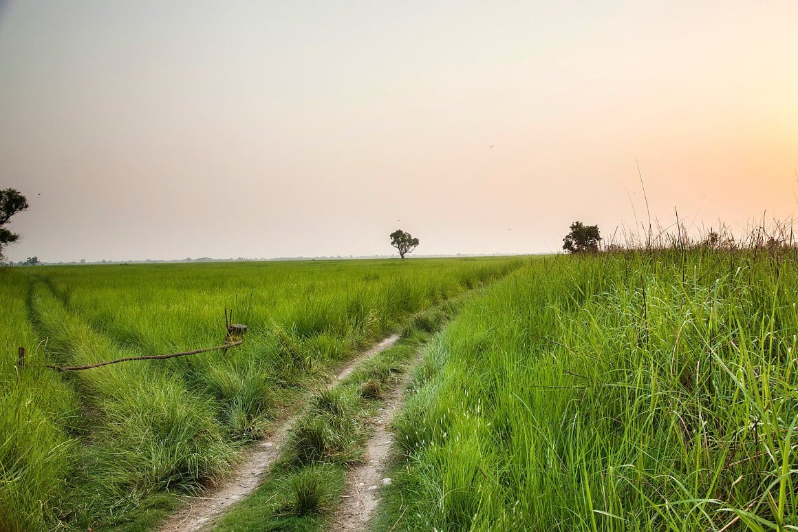 Shuklaphanta National Park