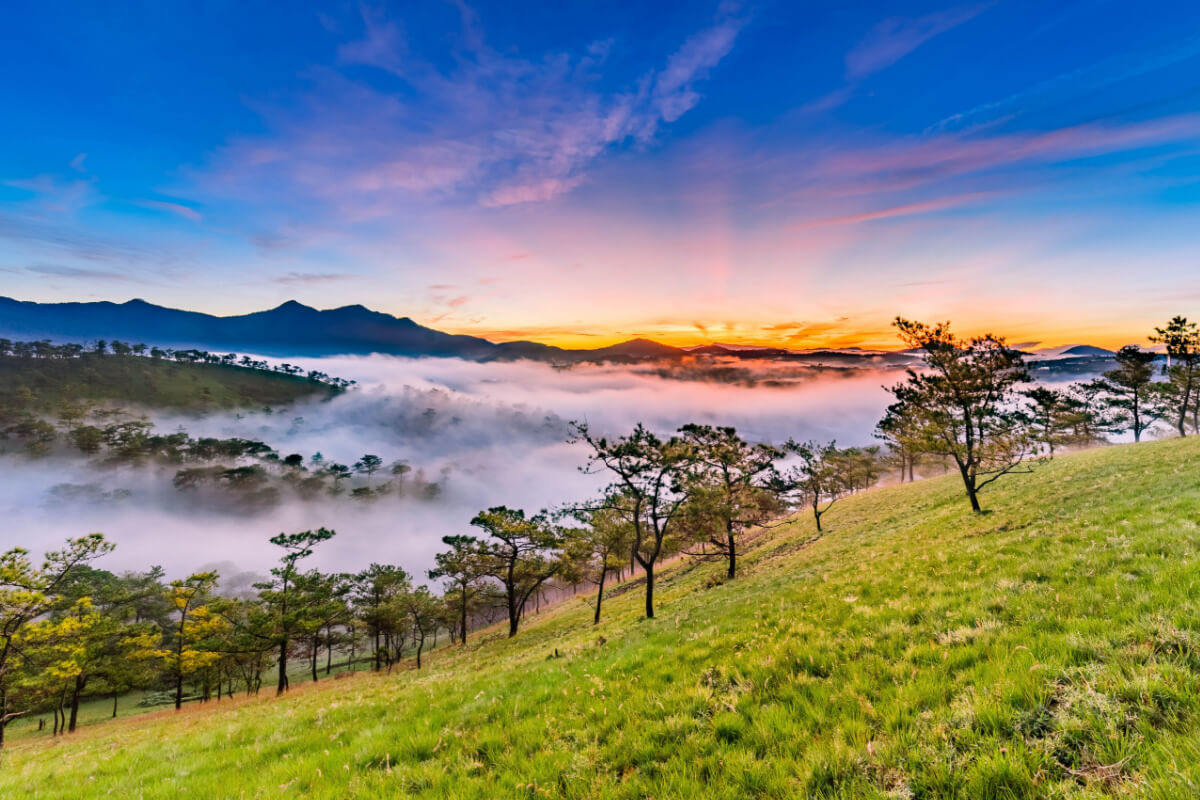 Da Lat landscape