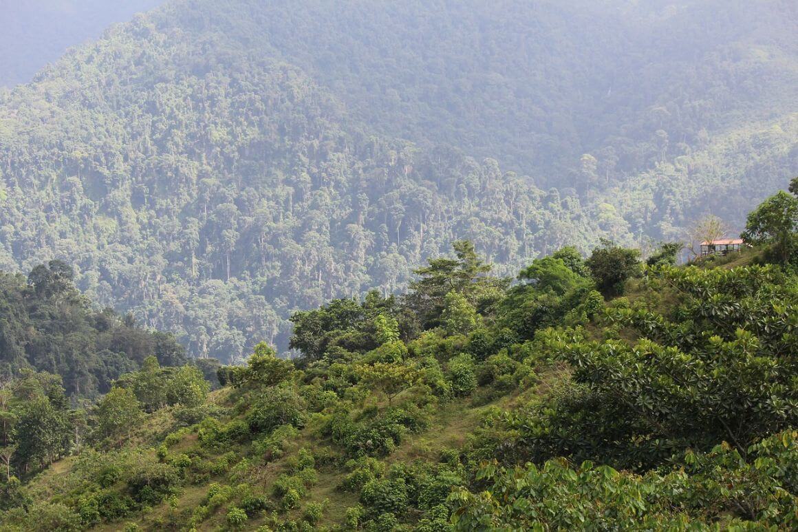 Sierra Nevada de Santa Marta Park