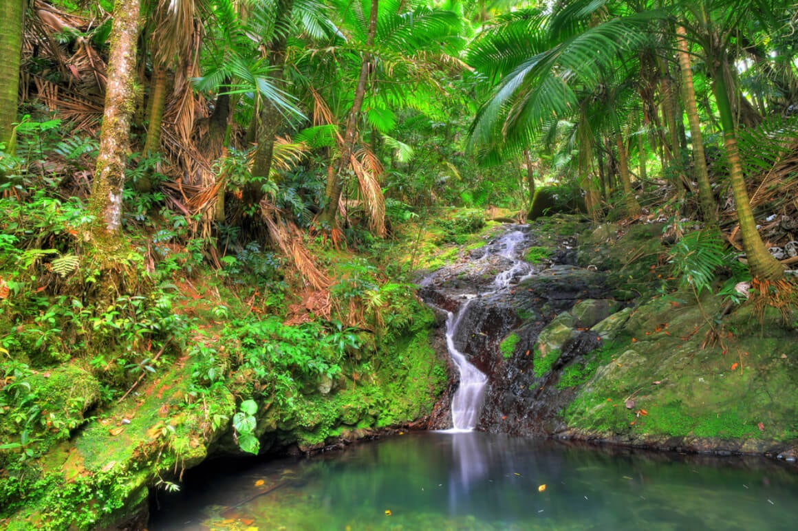 Small cascade El Yunque national forest