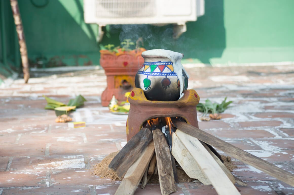 Thai Pongal