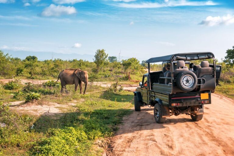 Sri Lanka National Parks