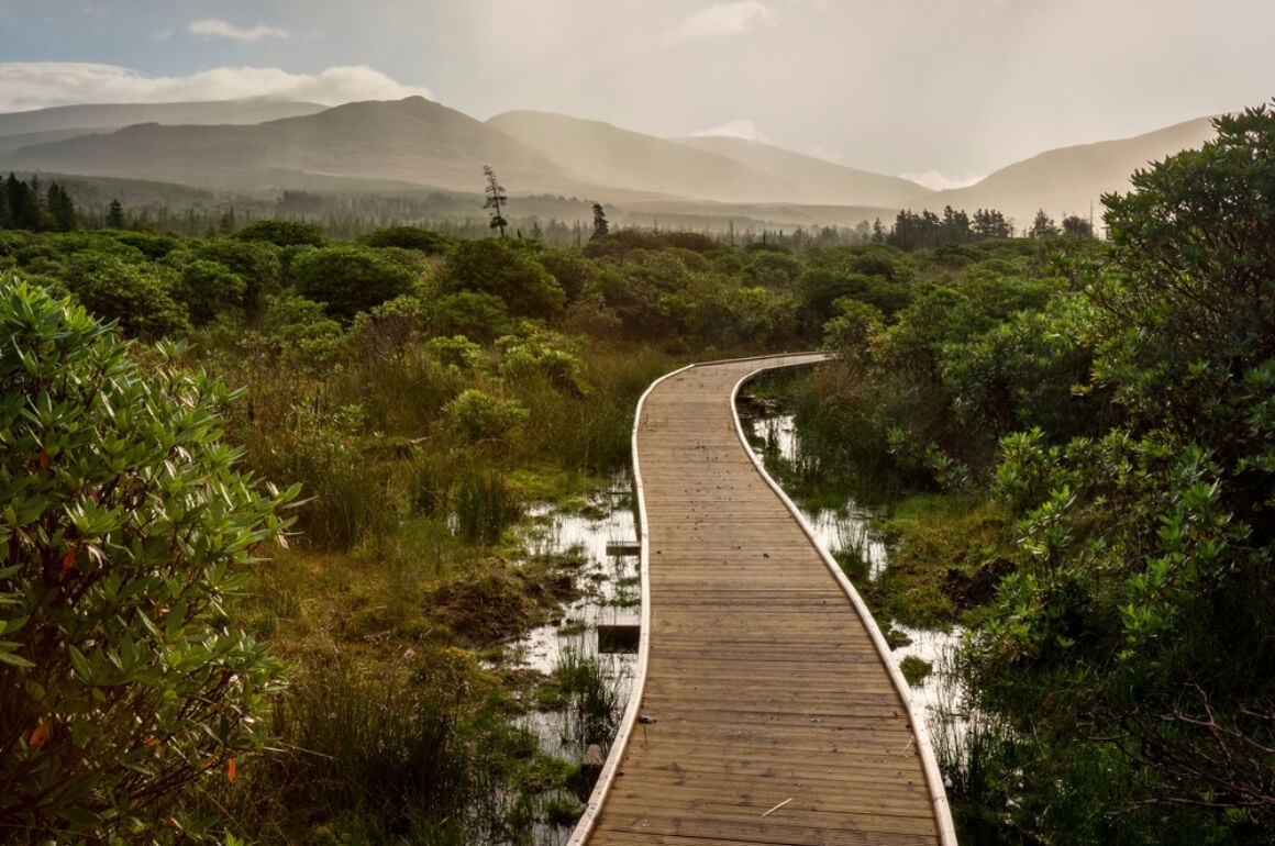 Wild Nephin Ballycroy National Park