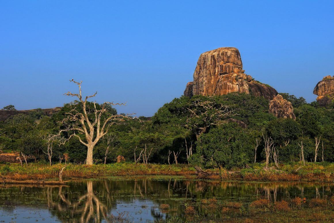 Yala National Park