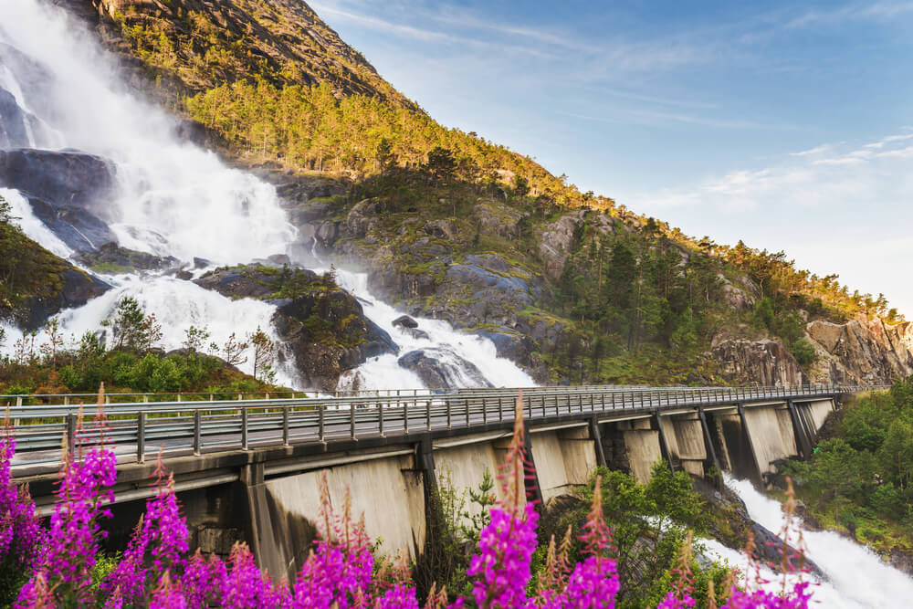 a powerfall waterfall running down a mountainous cliff in norway with bright pink flowers in view