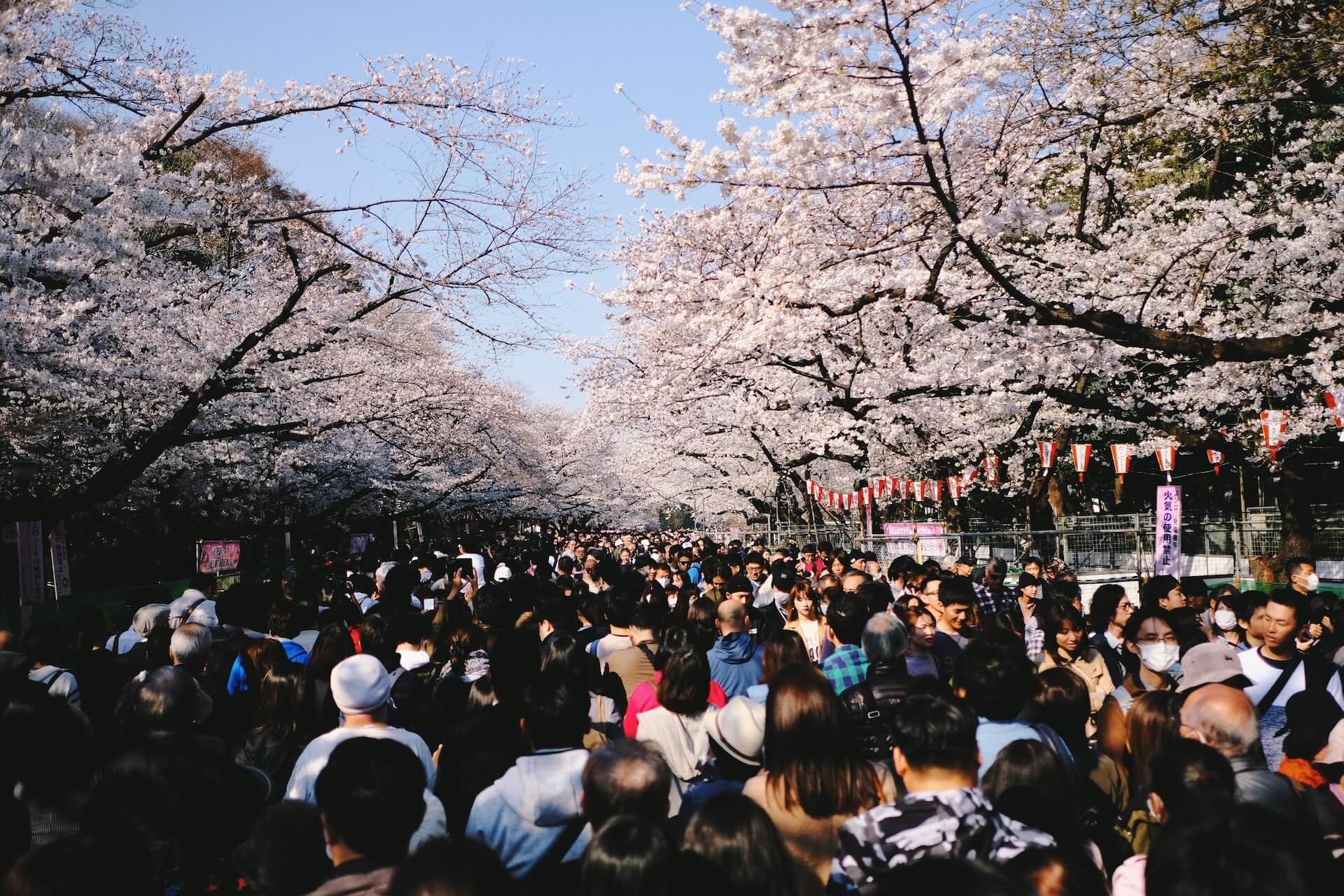 tourist spot in tokyo japan