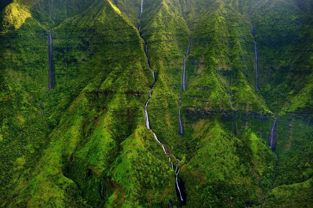 a bright, lush green wall with at least 4 thin waterfalls cascading down in