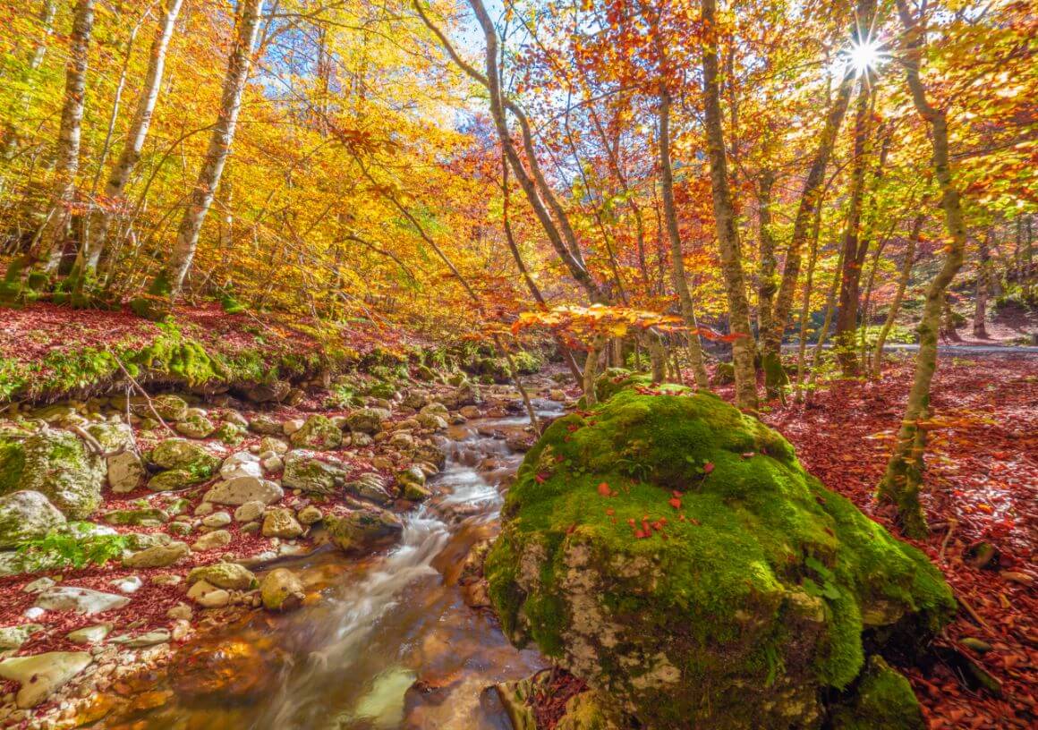 Abruzzo Lazio Molise National Park