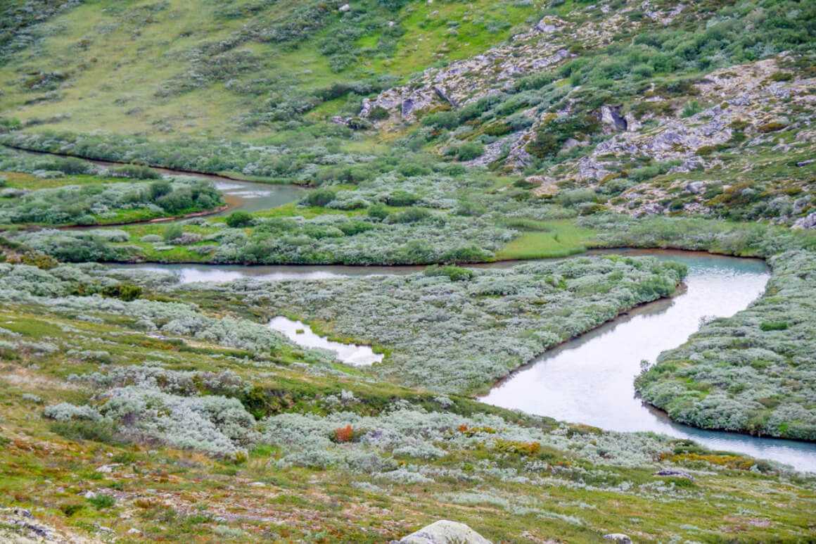 Dovrefjell-Sunndalsfjella National Park