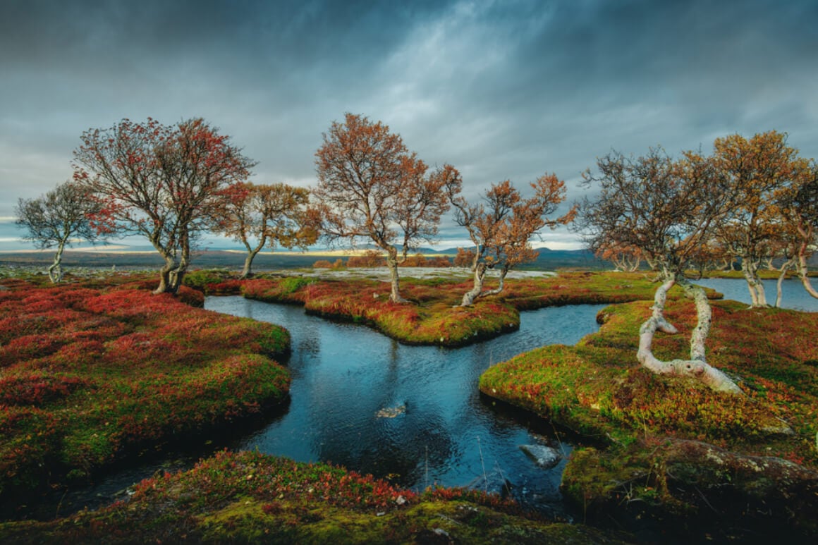 Femundsmarka National Park