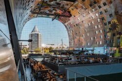 Amsterdam vs Rotterdam: The Ultimate Decision
