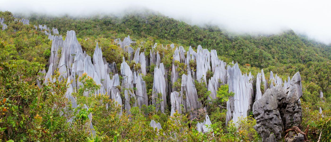 Gunung Mulu Park