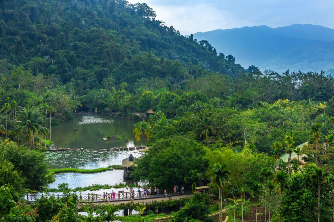 Hainan Tropical Rainforest National Park