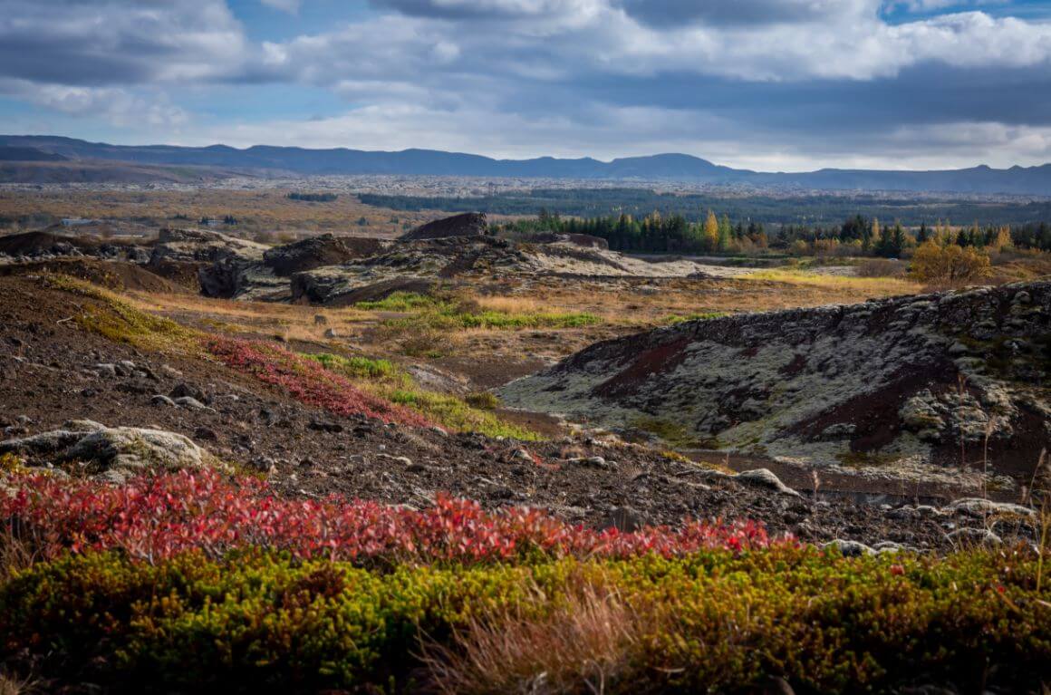 Heidmork Nature Reserve