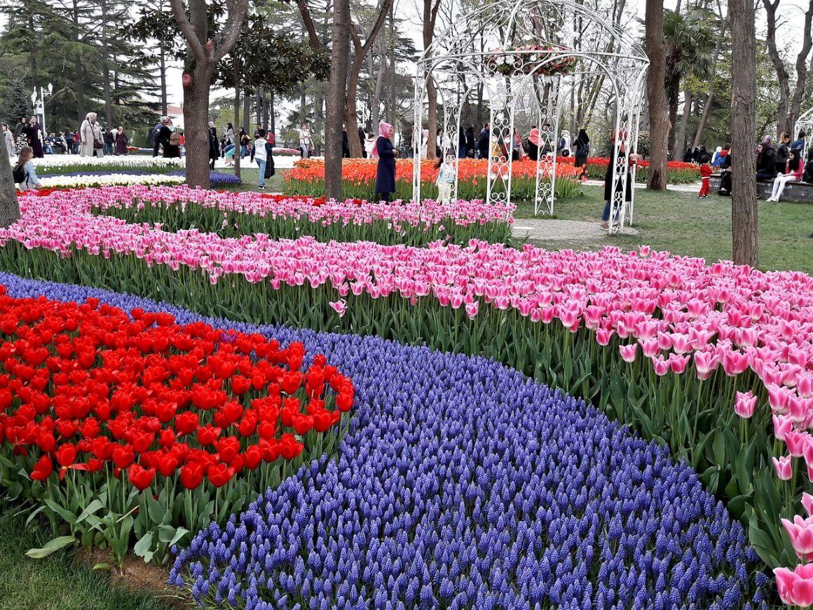 Istanbul Tulip Festival 