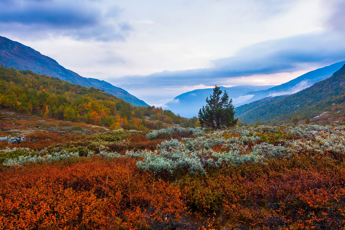 Jotunheimen National Park Norway