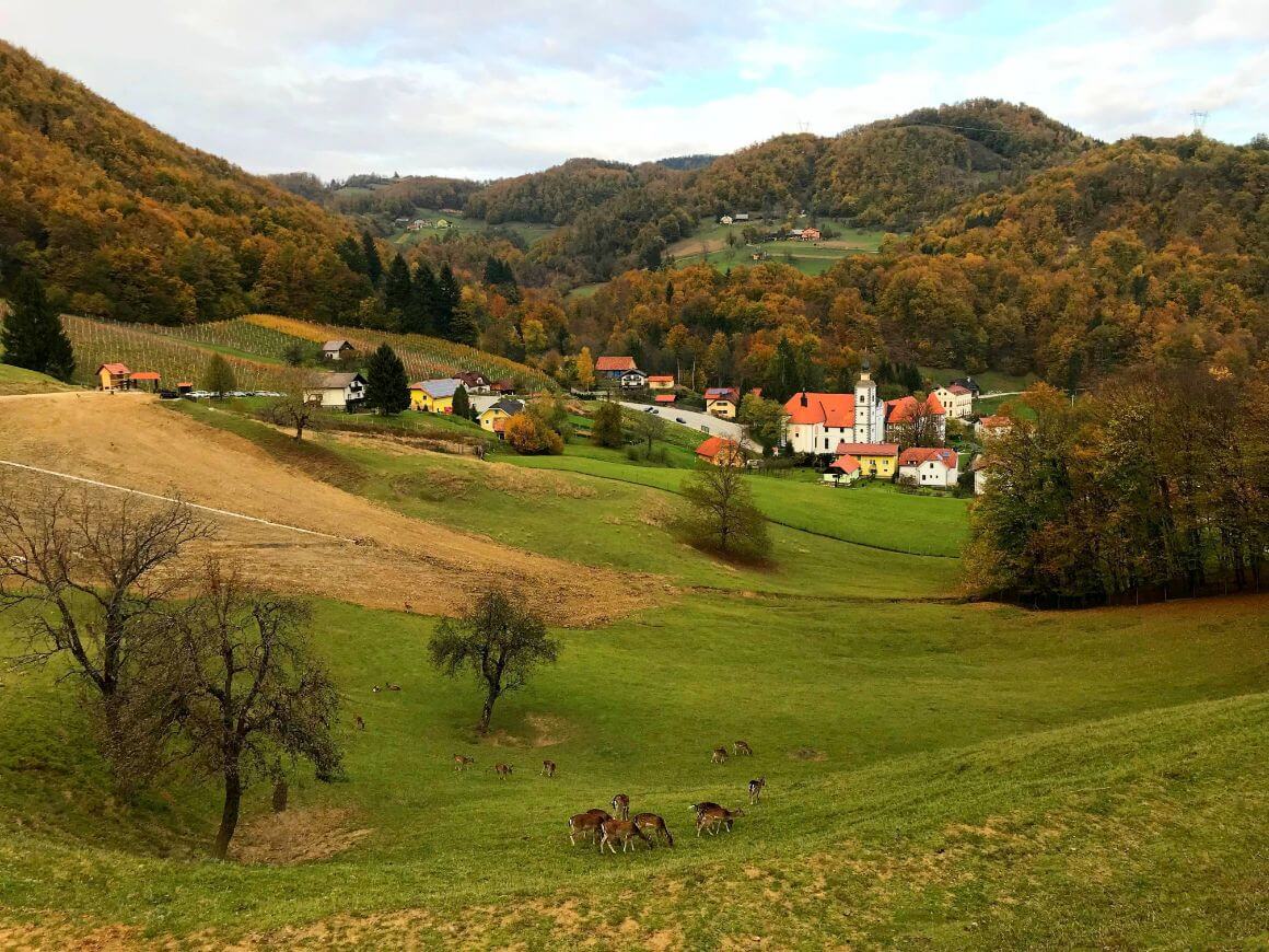Kozjansko Regional Park