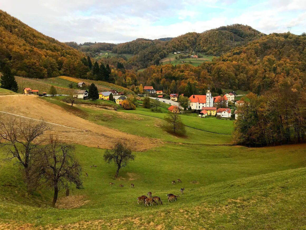 Kozjansko Regional Park