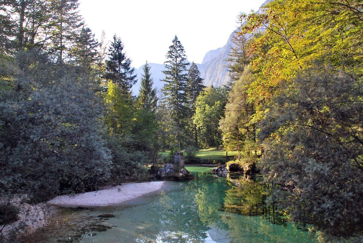 Lake Bohinj Slovenia