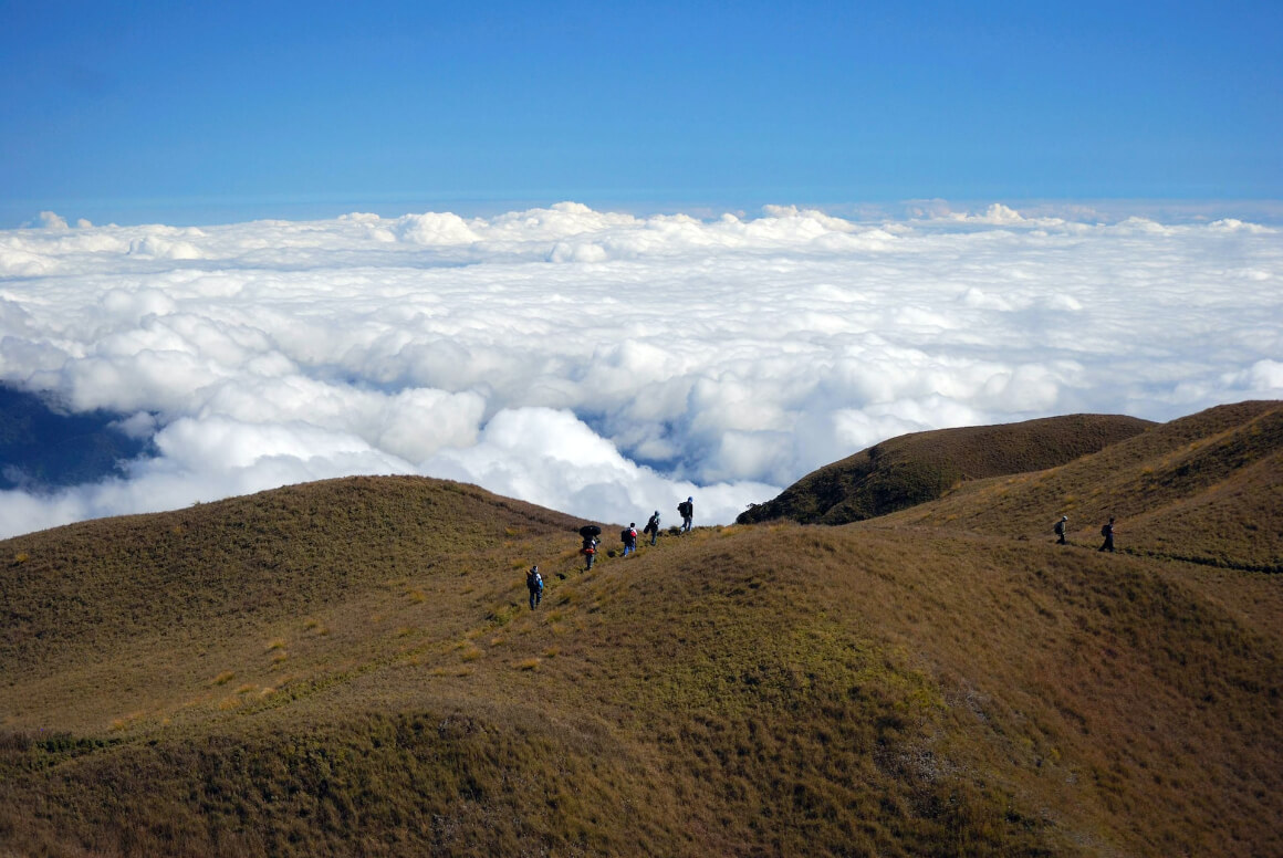 Mount Pulag