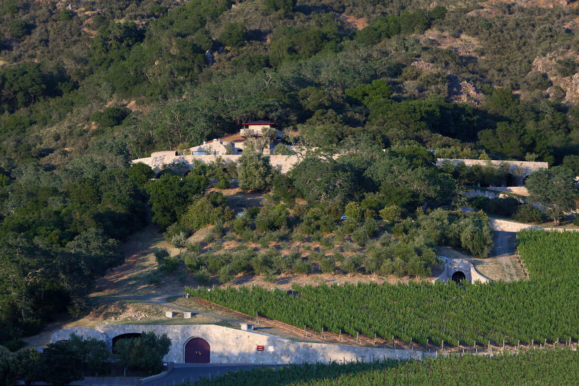 Palmaz Vineyards