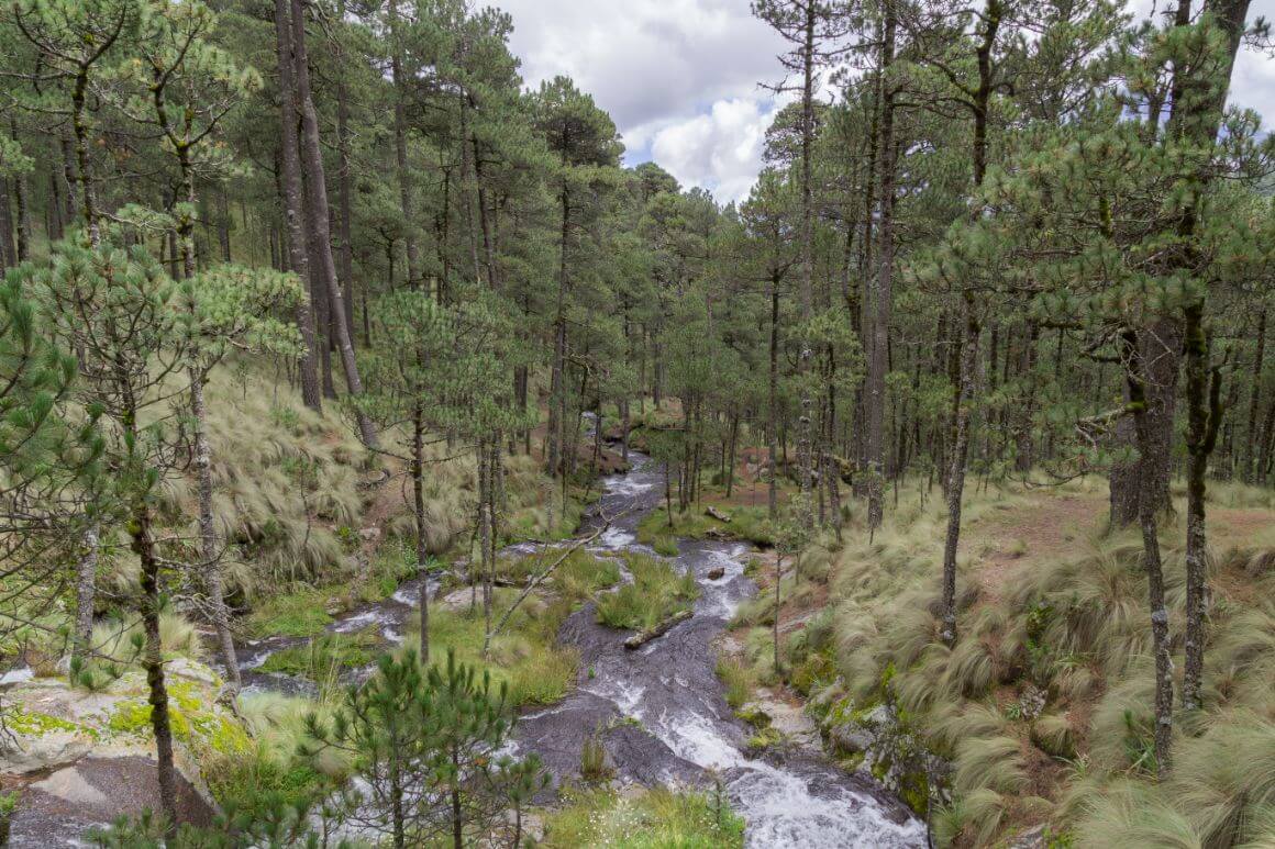 Parque Nacional Izta-Popo Zoquiapan