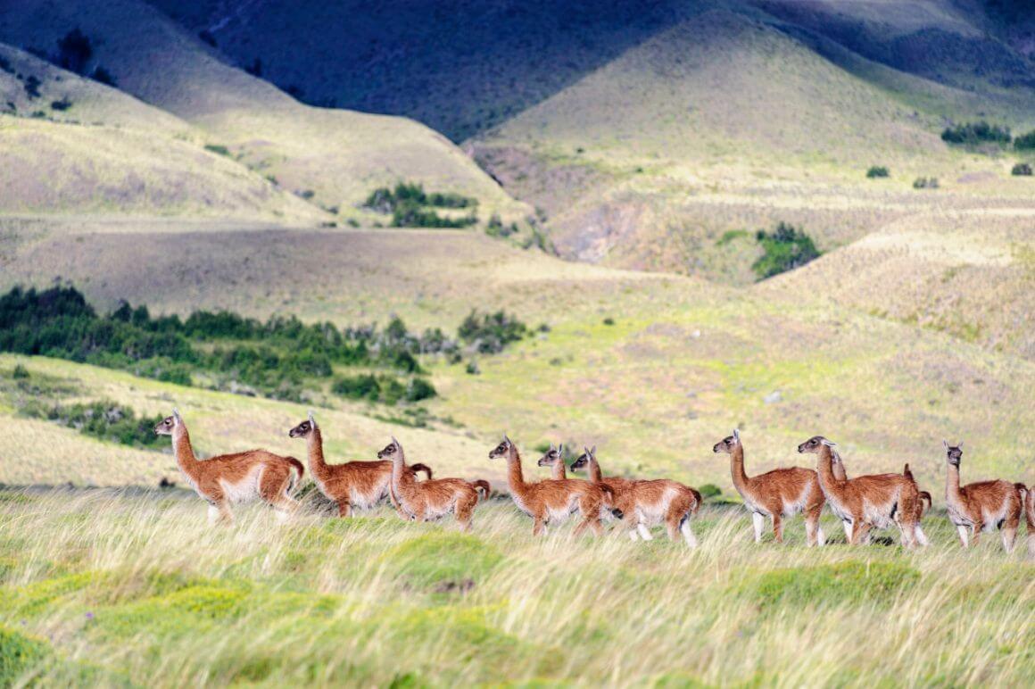 Parque Nacional Patagonia