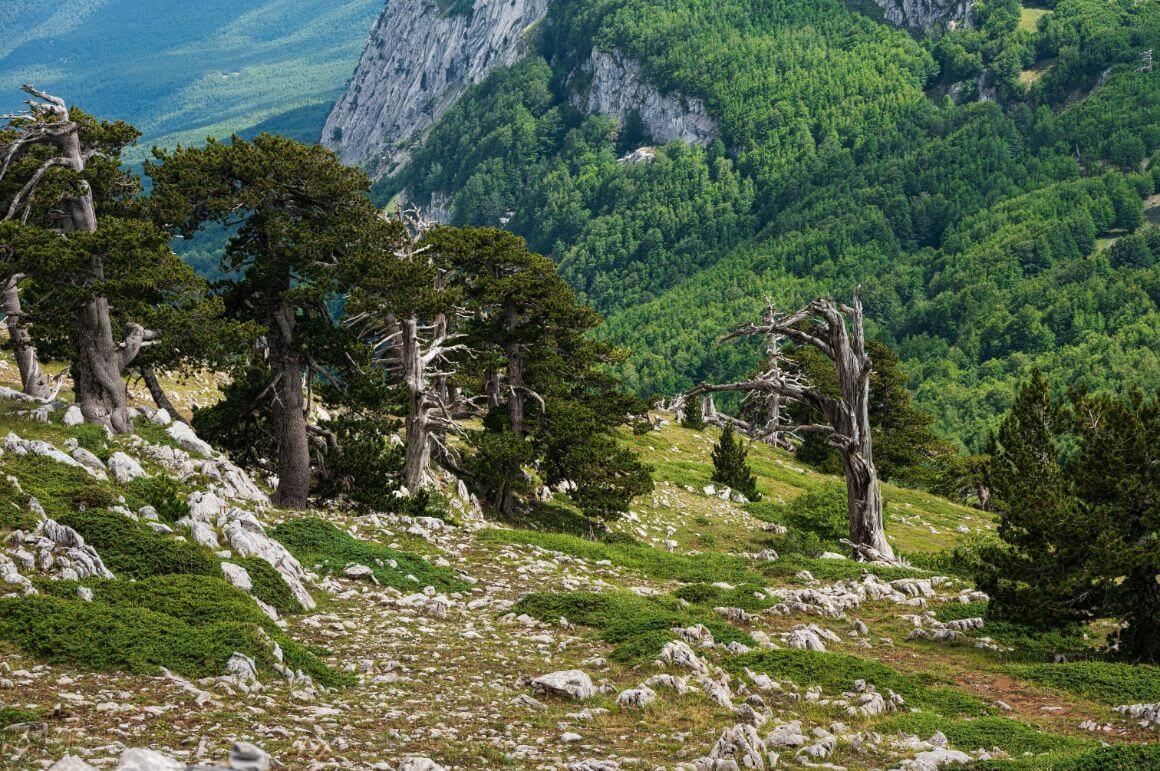 Pollino National Park