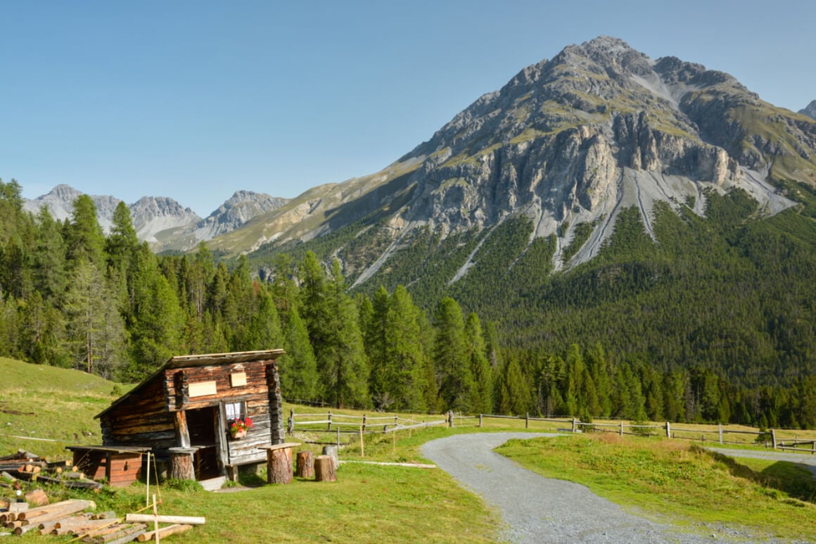 Swiss National Park near Zernez