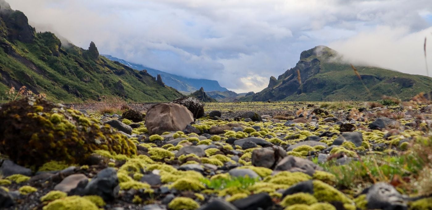 Þórsmörk Nature Reserve 