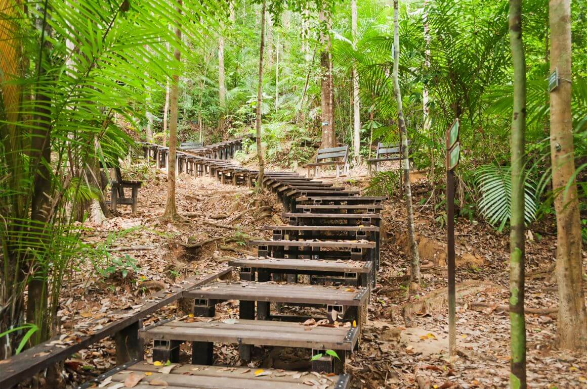 Taman Negara National Park