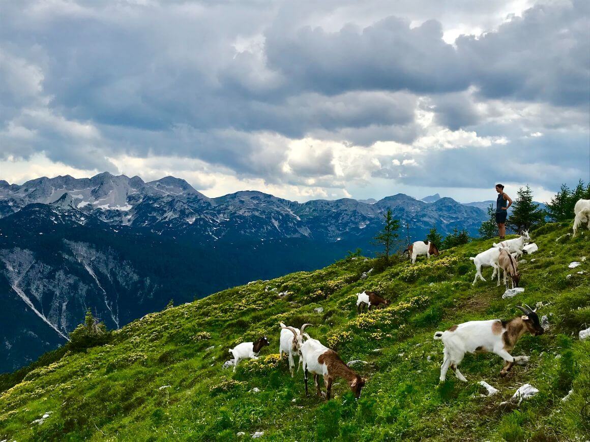 Triglav National Park