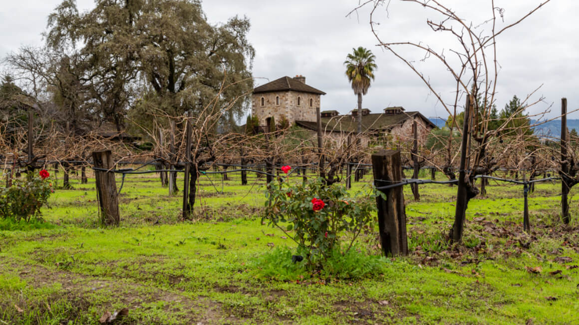 V. Sattui Winery St. Helena