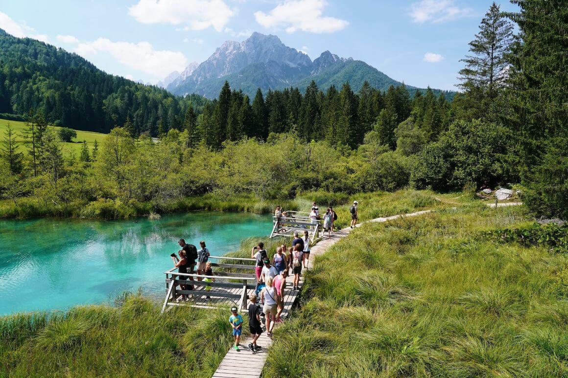 Zelenci Reserve