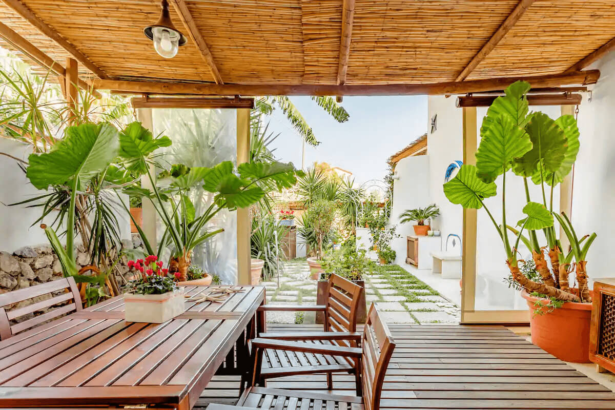 Vibrant, plant filled outdoor area with table & chairs