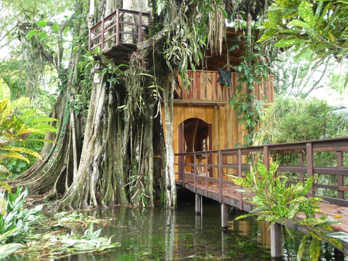 jungle treehouse