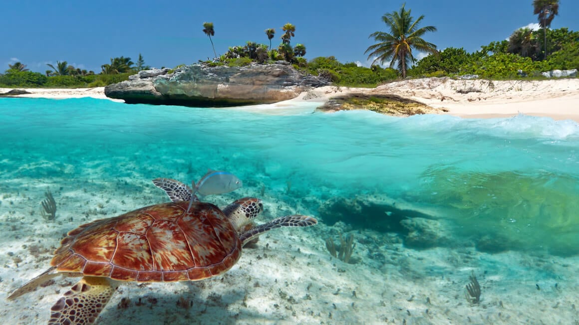 nature tourism in mexico