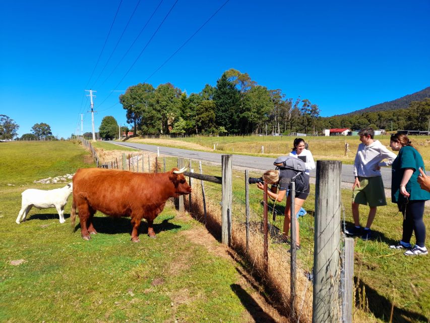 From Hobart Cradle Mountain Full Day Tour