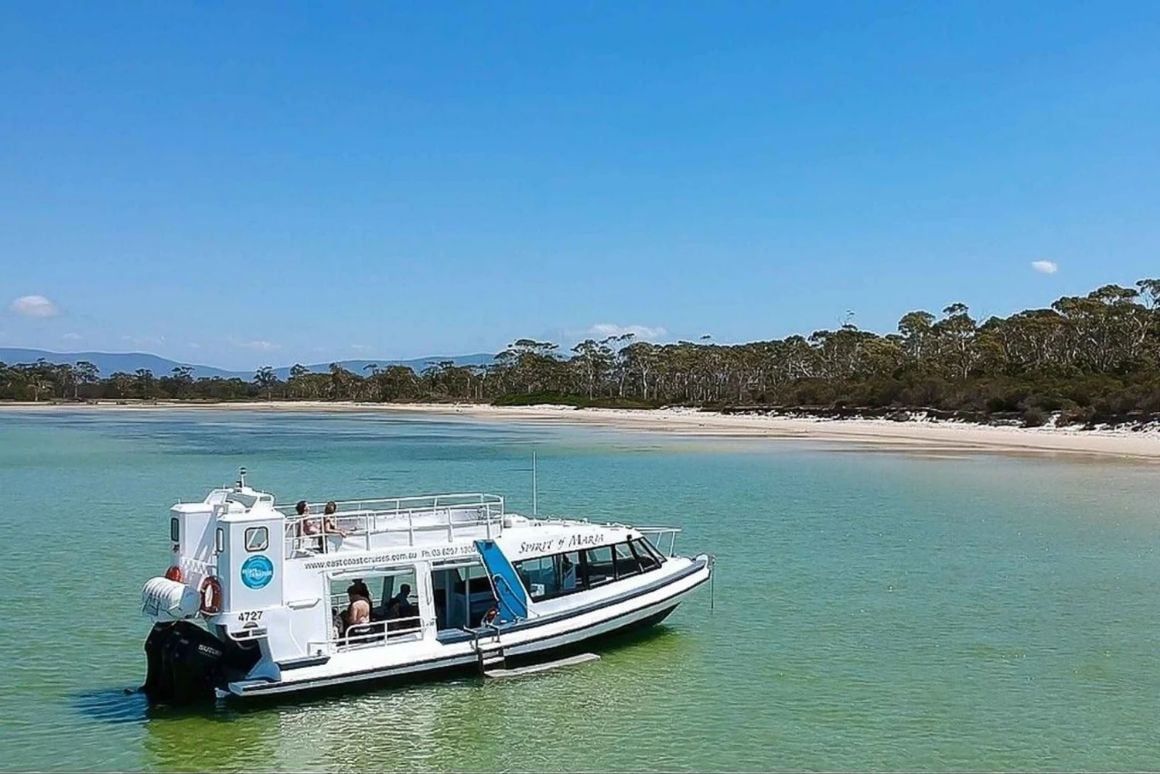 From Hobart Day Trip to Maria Island with Hotel Pickup